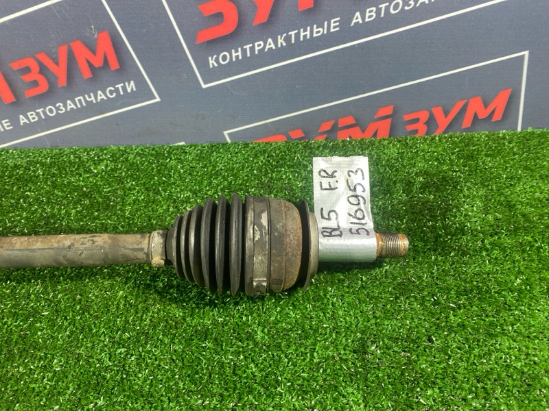 Привод, 3000 рублей, Солонцы