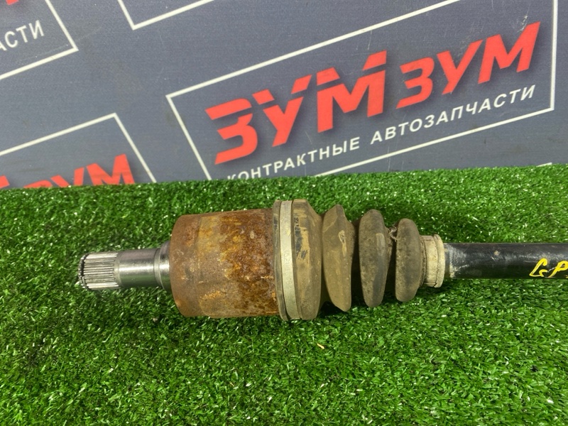 Привод, 1800 рублей, Солонцы