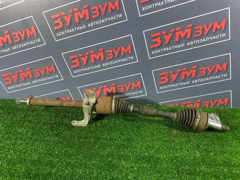 Привод, 8500 рублей, Солонцы