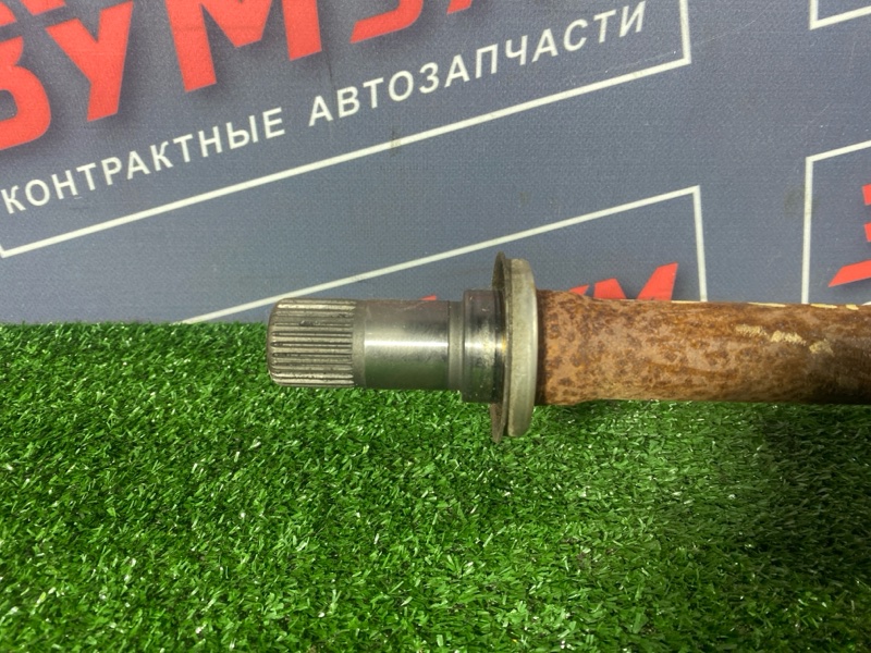 Привод, 11000 рублей, Солонцы