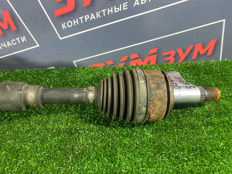 Привод, 11000 рублей, Солонцы