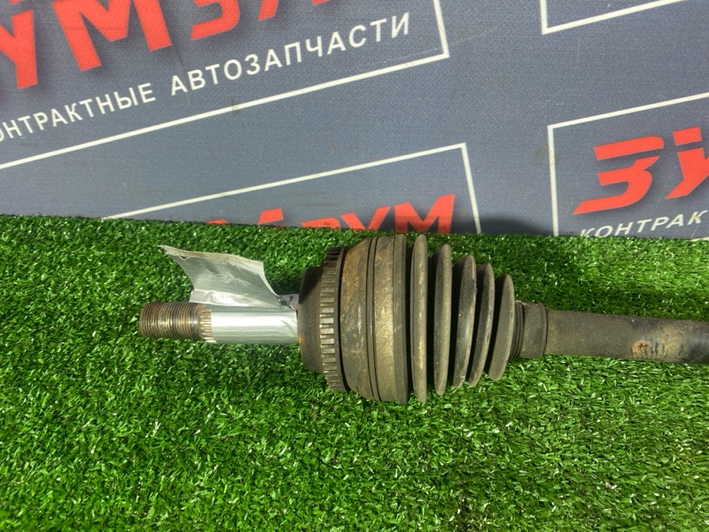 Привод, 8500 рублей, Солонцы
