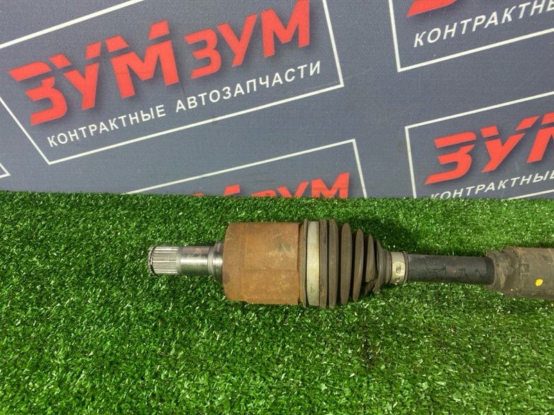 Привод, 5000 рублей, Солонцы