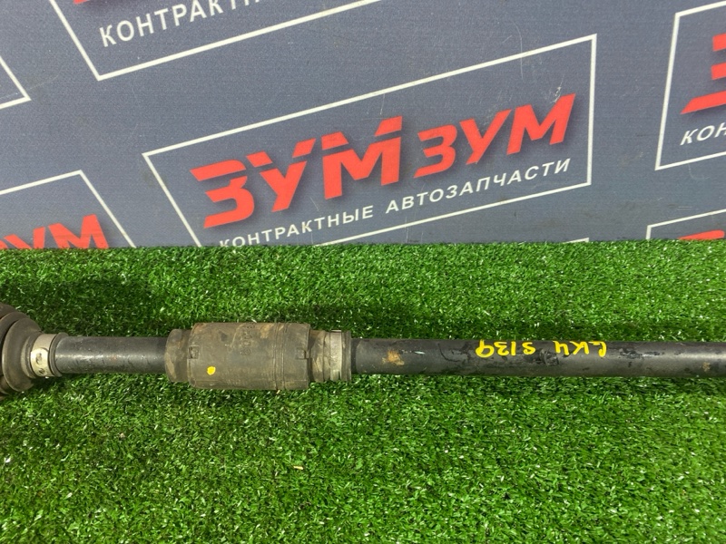 Привод, 5000 рублей, Солонцы