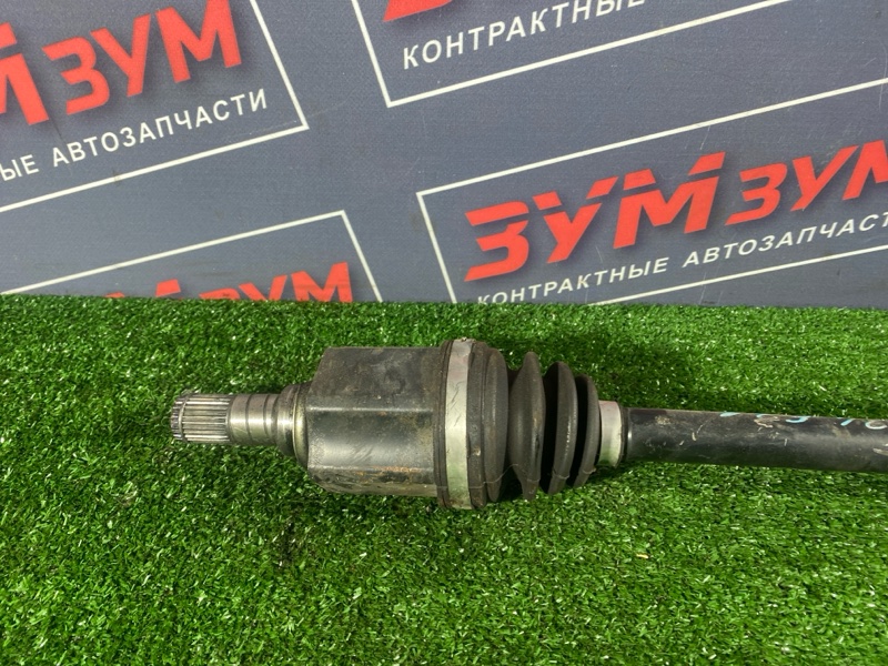 Привод, 8500 рублей, Солонцы