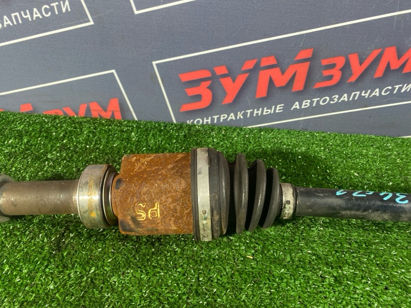 Привод, 5500 рублей, Солонцы