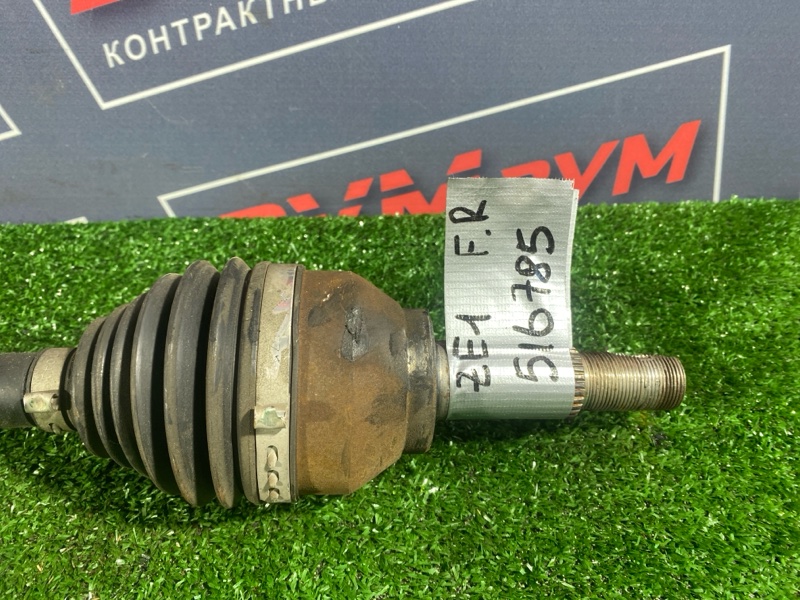Привод, 5500 рублей, Солонцы