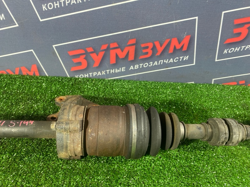 Привод, 12000 рублей, Солонцы