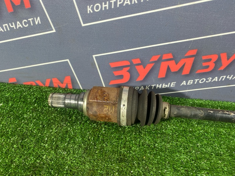 Привод, 5000 рублей, Солонцы