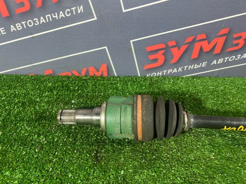 Привод, 5500 рублей, Солонцы