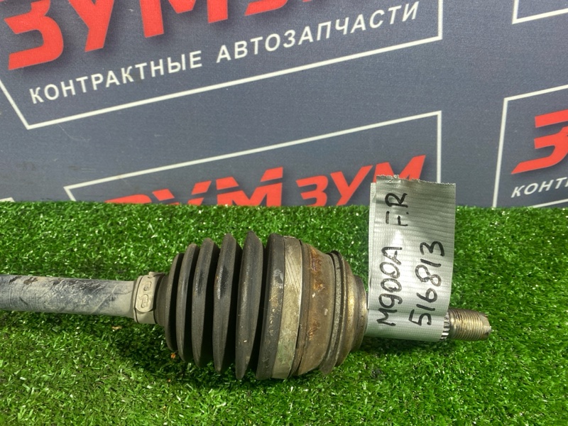 Привод, 5000 рублей, Солонцы