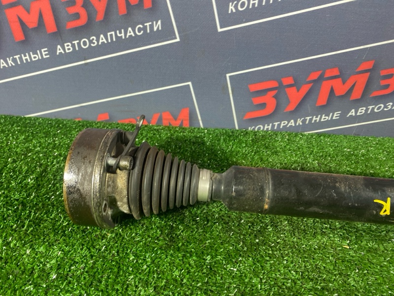 Привод, 4500 рублей, Солонцы