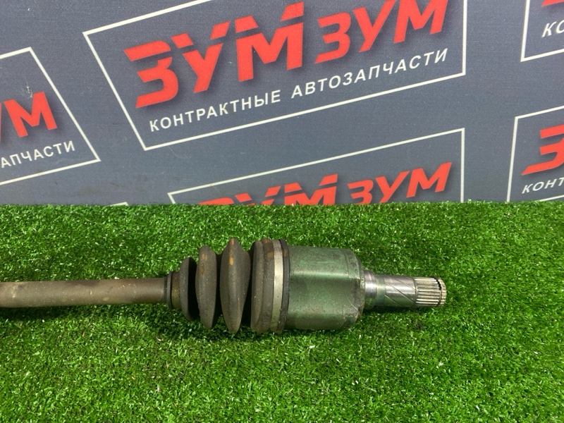 Привод, 4500 рублей, Солонцы