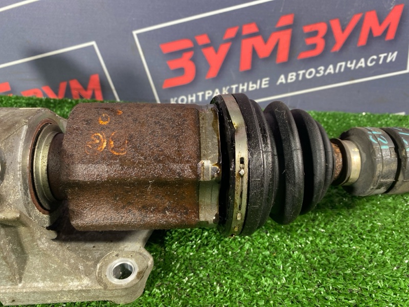 Привод, 15000 рублей, Солонцы
