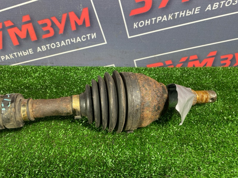 Привод, 15000 рублей, Солонцы