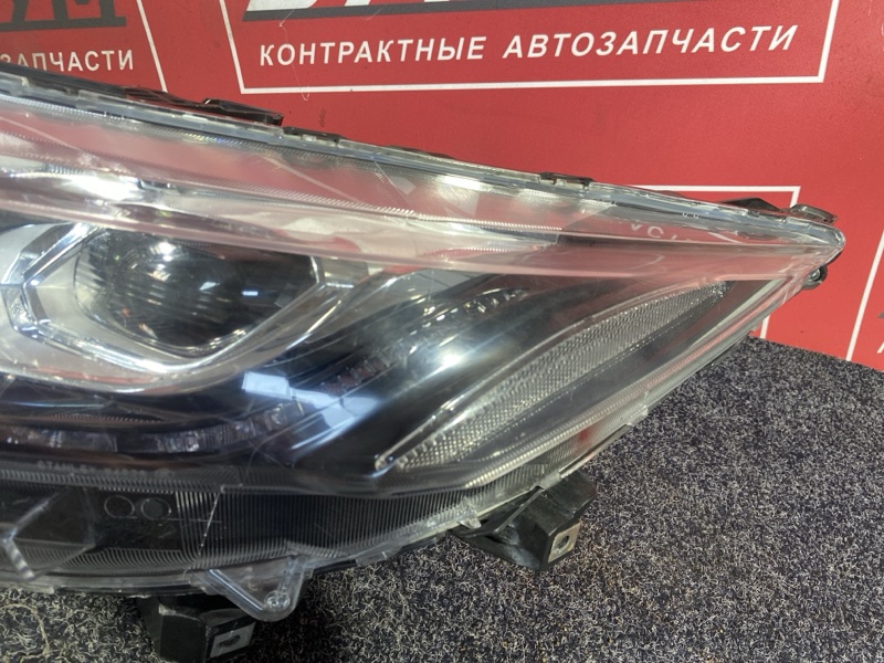 Ноускат, 310000 рублей, Солонцы