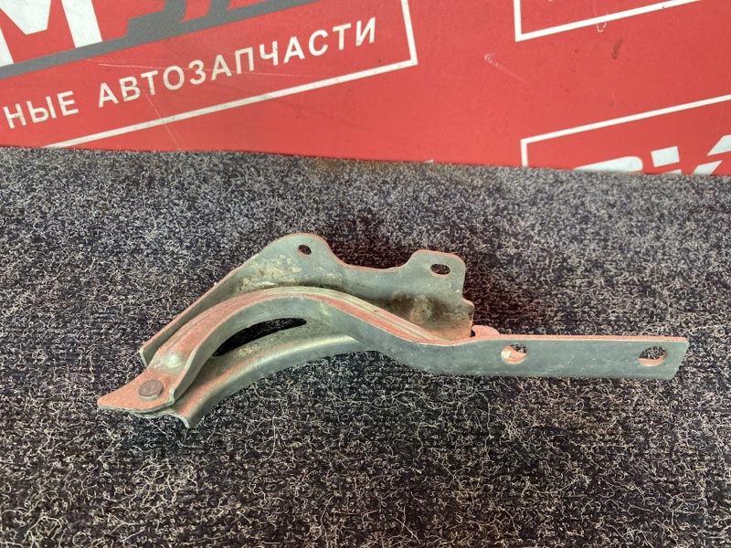 Петля (Шарнир капота), 4000 рублей, Солонцы