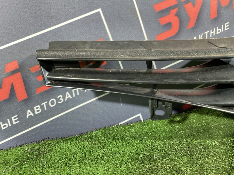 Решетка радиатора, 10000 рублей, Солонцы