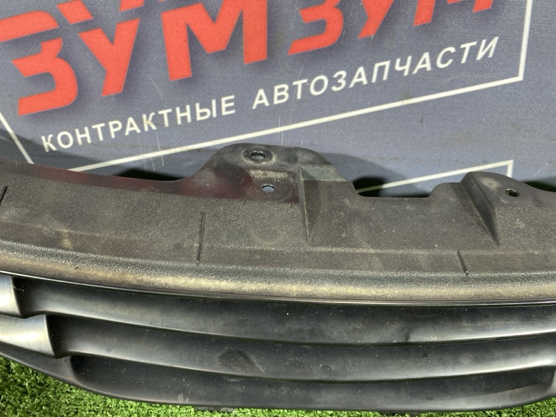 Решетка радиатора, 10000 рублей, Солонцы