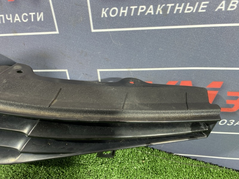 Решетка радиатора, 10000 рублей, Солонцы