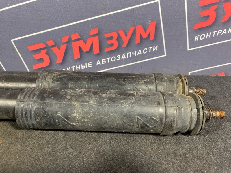 Амортизатор, 2000 рублей, Солонцы