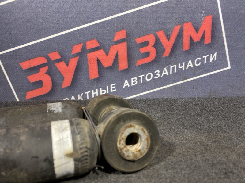 Амортизатор, 1500 рублей, Солонцы