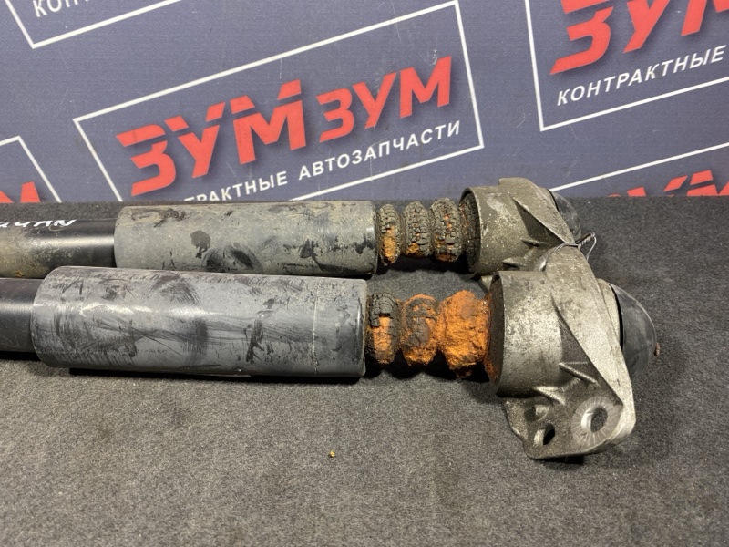 Амортизатор, 1000 рублей, Солонцы