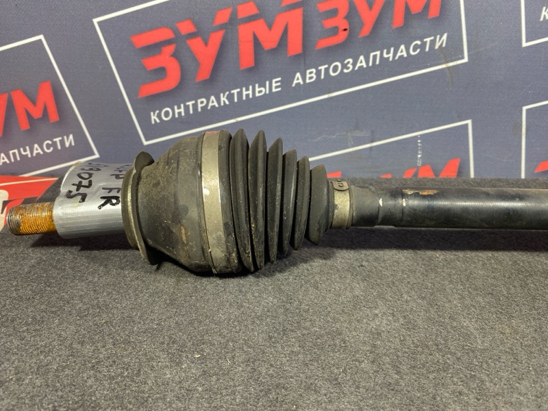 Привод, 8000 рублей, Солонцы