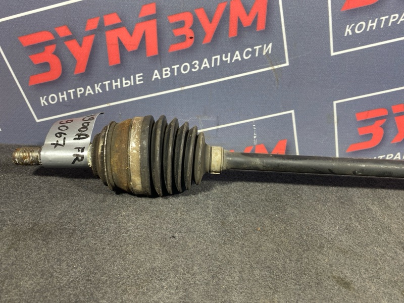 Привод, 5000 рублей, Солонцы