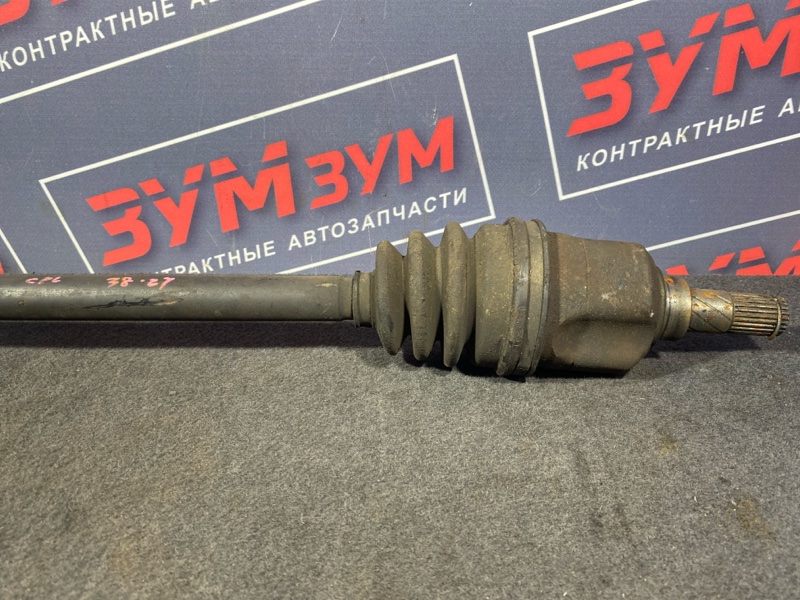 Привод, 2800 рублей, Солонцы