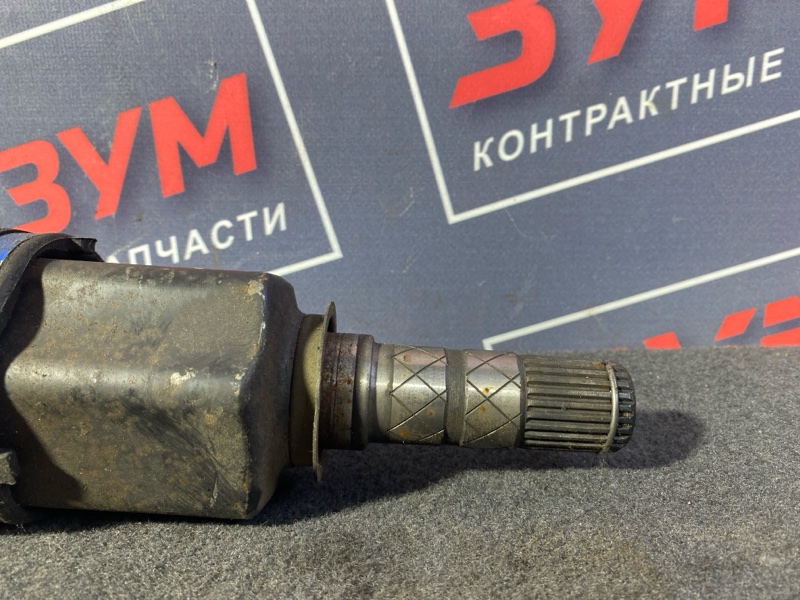 Привод, 7000 рублей, Солонцы
