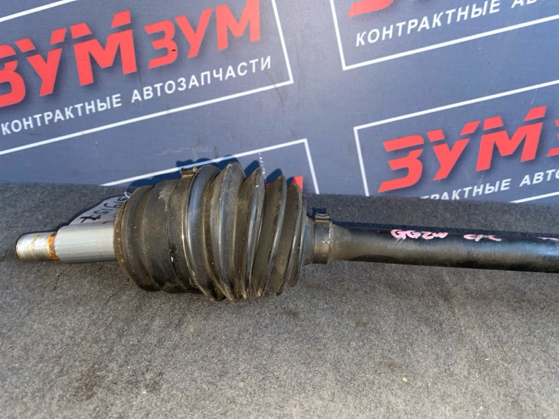 Привод, 6000 рублей, Солонцы