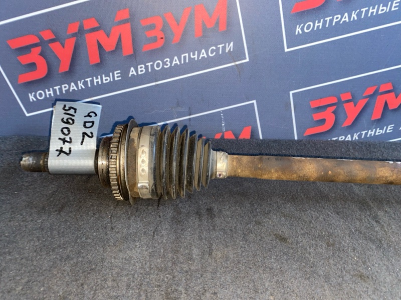 Привод, 5000 рублей, Солонцы