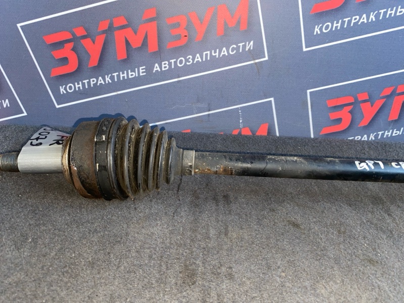 Привод, 5000 рублей, Солонцы