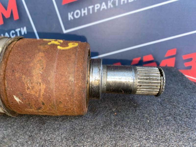 Привод, 5000 рублей, Солонцы