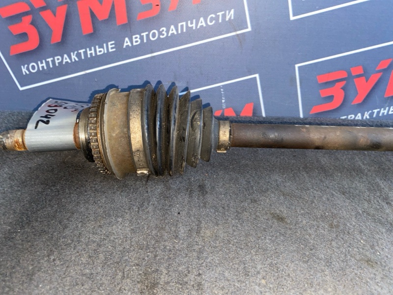 Привод, 7000 рублей, Солонцы