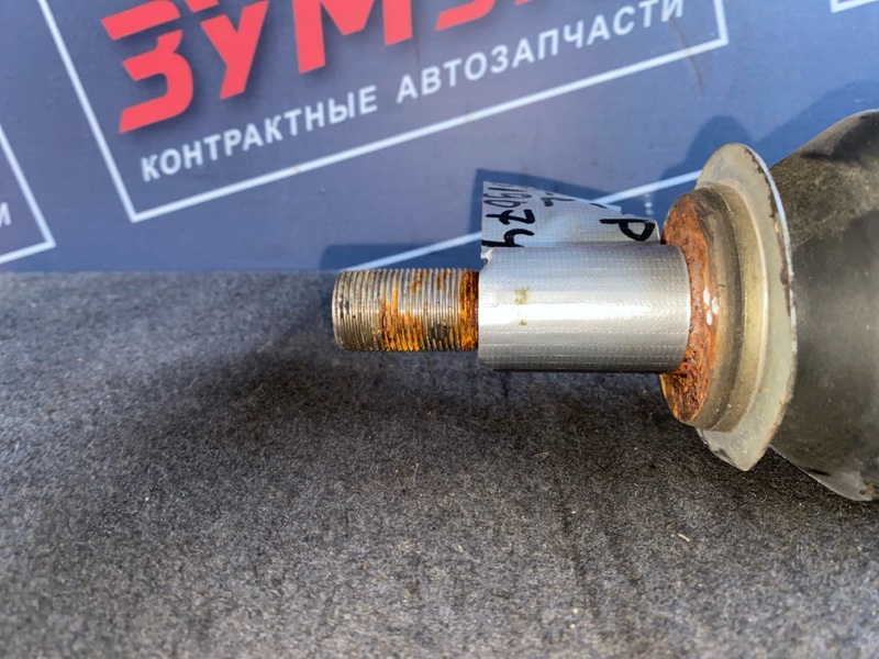 Привод, 5500 рублей, Солонцы