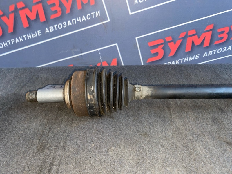 Привод, 3000 рублей, Солонцы