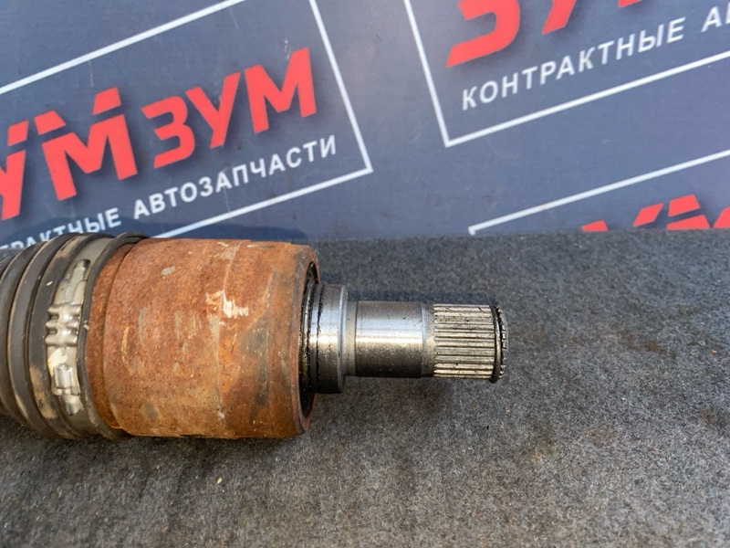 Привод, 3000 рублей, Солонцы