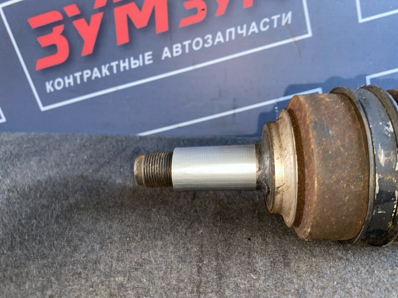 Привод, 3000 рублей, Солонцы