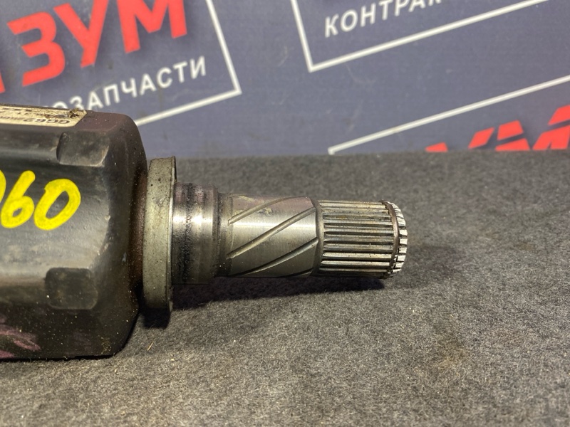 Привод, 2800 рублей, Солонцы