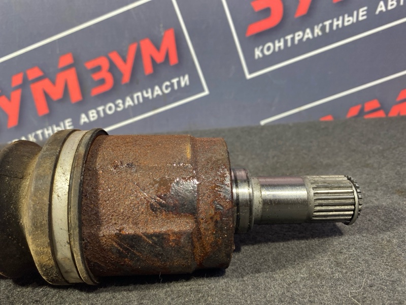 Привод, 1200 рублей, Солонцы