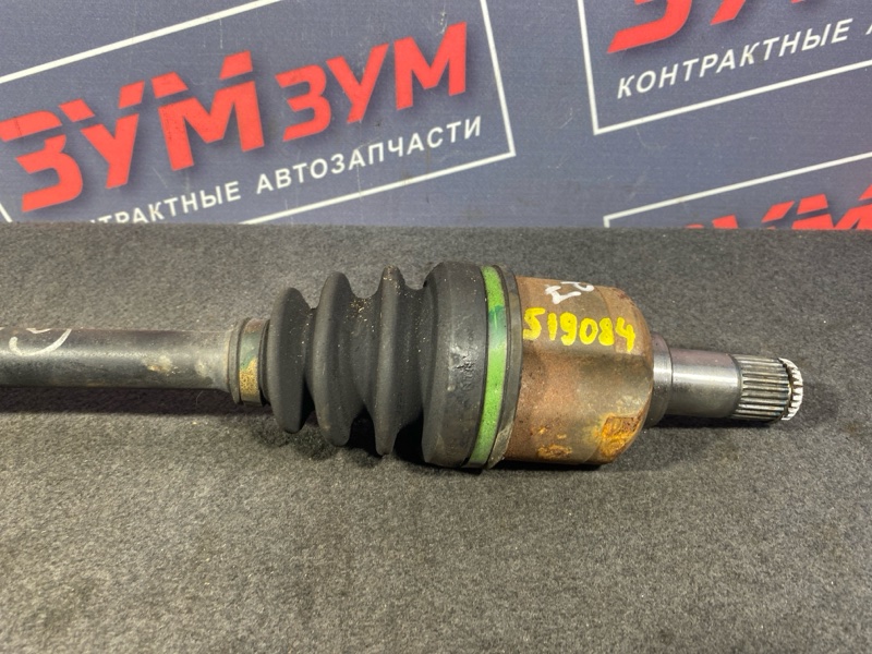 Привод, 6000 рублей, Солонцы