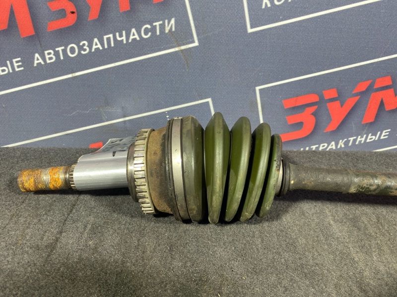 Привод, 5000 рублей, Солонцы