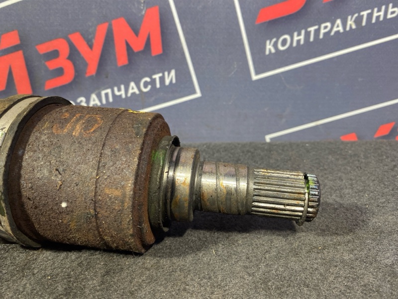 Привод, 5000 рублей, Солонцы