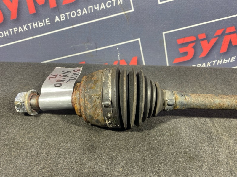 Привод, 600 рублей, Солонцы