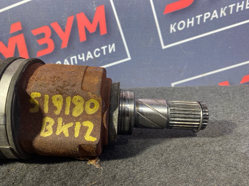 Привод, 600 рублей, Солонцы