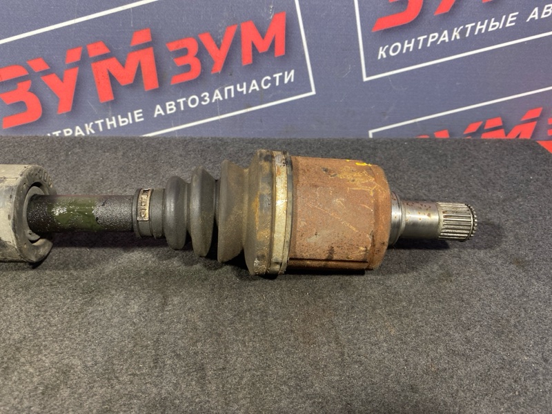 Привод, 2800 рублей, Солонцы