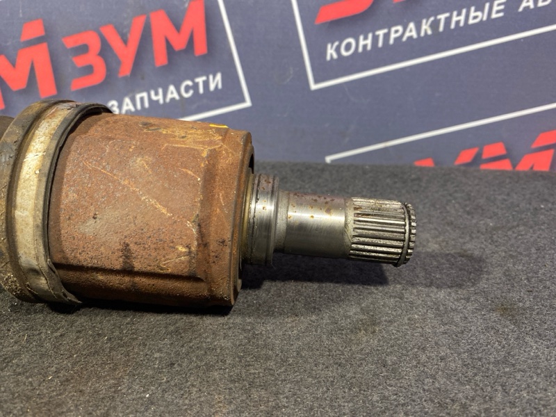 Привод, 2800 рублей, Солонцы