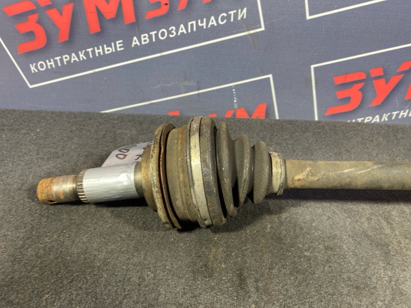 Привод, 2000 рублей, Солонцы